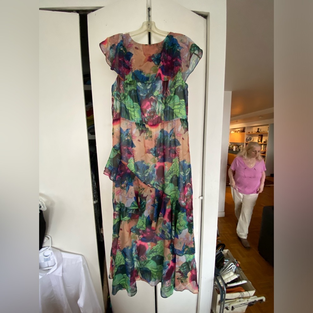 Soft Surroundings Floral Ruffle Dress - Picture 2 of 5